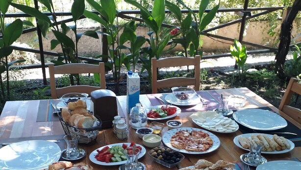 فطور كامل مجانًا يوميًا