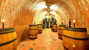 A tunnel-like cellar with wooden barrels and bottles, brick walls, and a tiled floor. - Wellness Hotel Ondrášův Dvůr (Bílá)