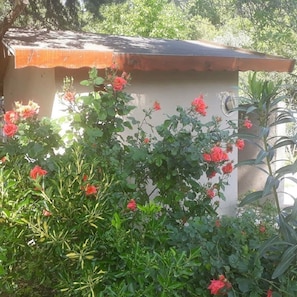 Detalle exterior