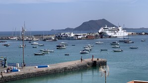 A marina with various boats, a large cruise ship, and a mountainous backdrop.