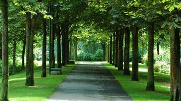 Taman
