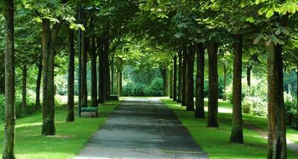 Les Couleurs Picardes