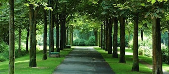 Les Couleurs Picardes