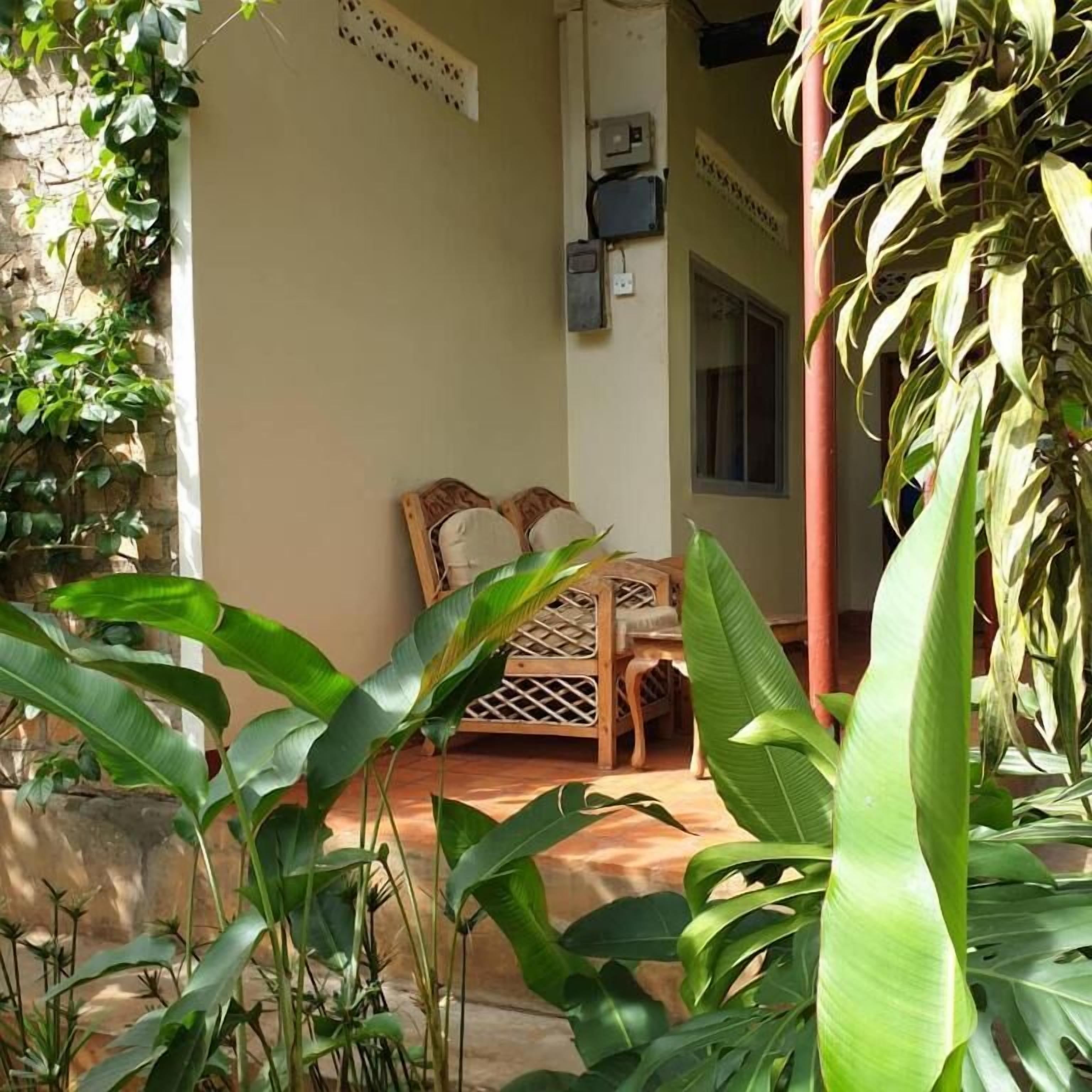A room with a wooden chair and a table, surrounded by lush green plants.