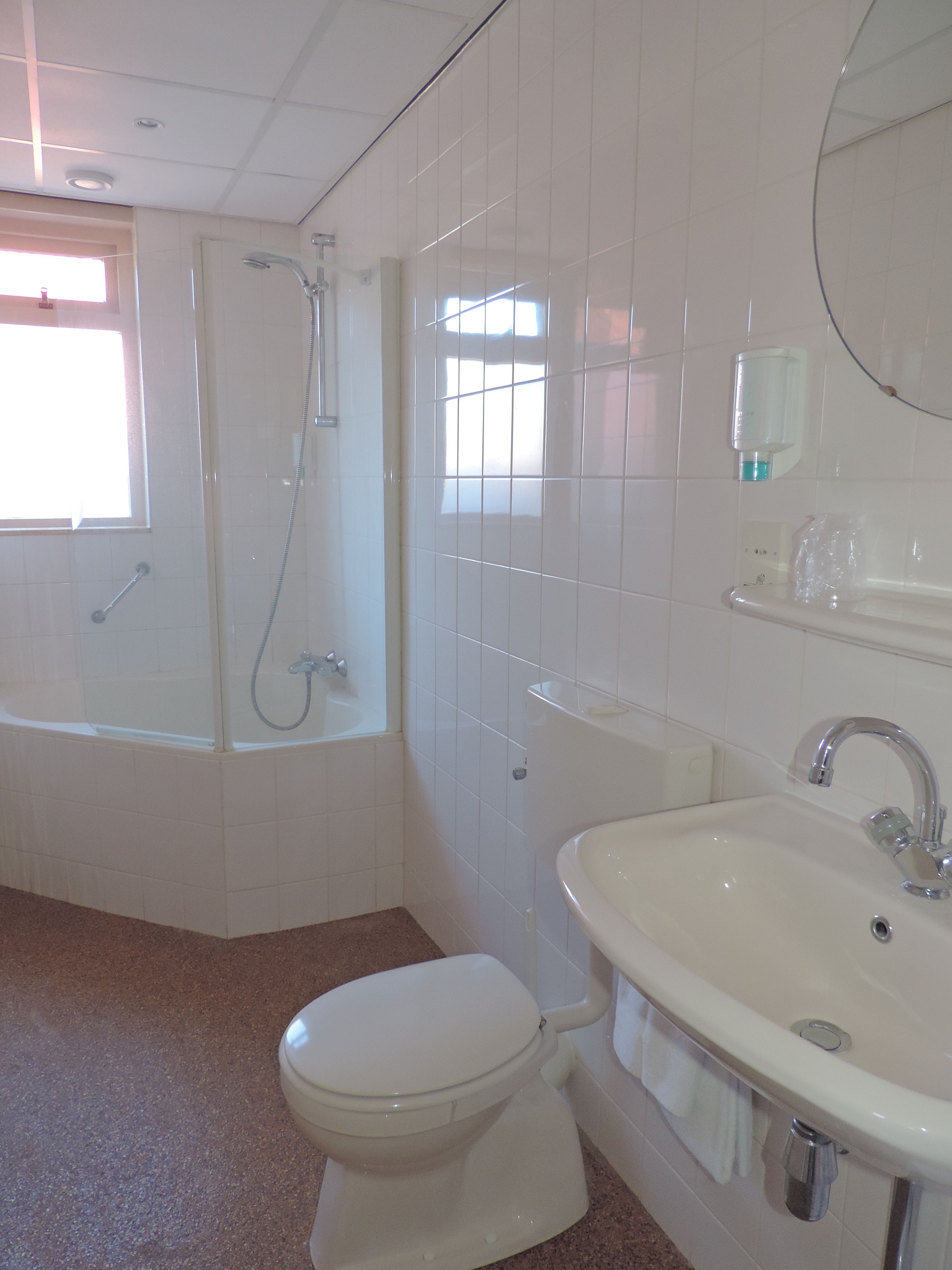 standard double room | bathroom shower