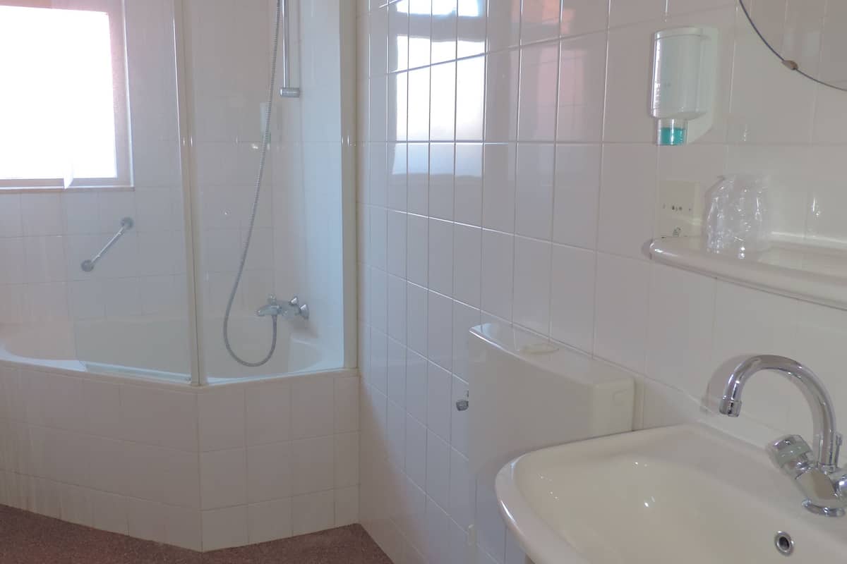 standard double room | bathroom shower