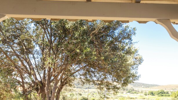 A table set outdoors with a variety of food items and a view of a vineyard. - Elvin Bozcaada (Bozcaada)