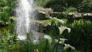 A garden with a waterfall, lush greenery, and white flowers.