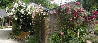 Dream holidays in the site where the animal and vegetal life is preserved