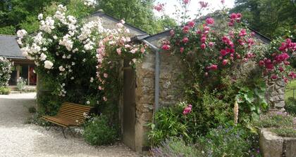 Dream holidays in the site where the animal and vegetal life is preserved