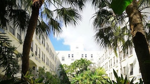 A pathway leading to a pool surrounded by lush greenery and palm trees, with a building in the background.