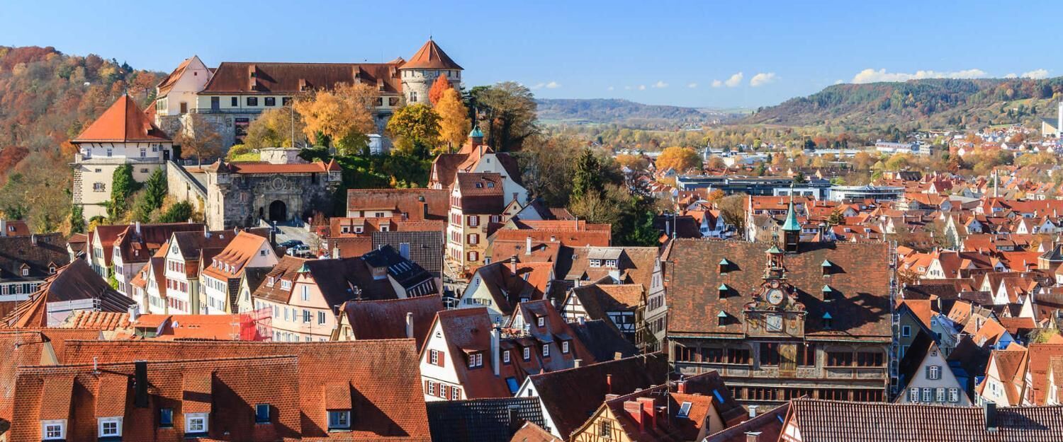 A historic town with traditional architecture, including a prominent castle and a variety of buildings with red-tiled roofs.