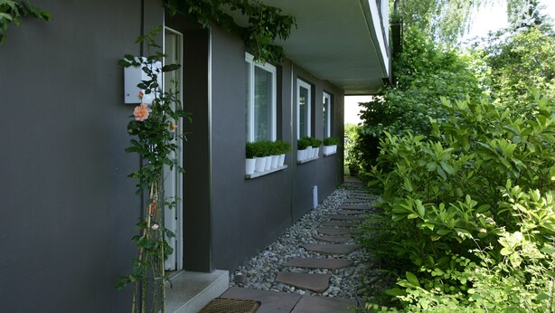 A house with a gray exterior, a stone pathway leading to the entrance, and white window boxes with greenery. - House on Schlossberg (Tuebingen)