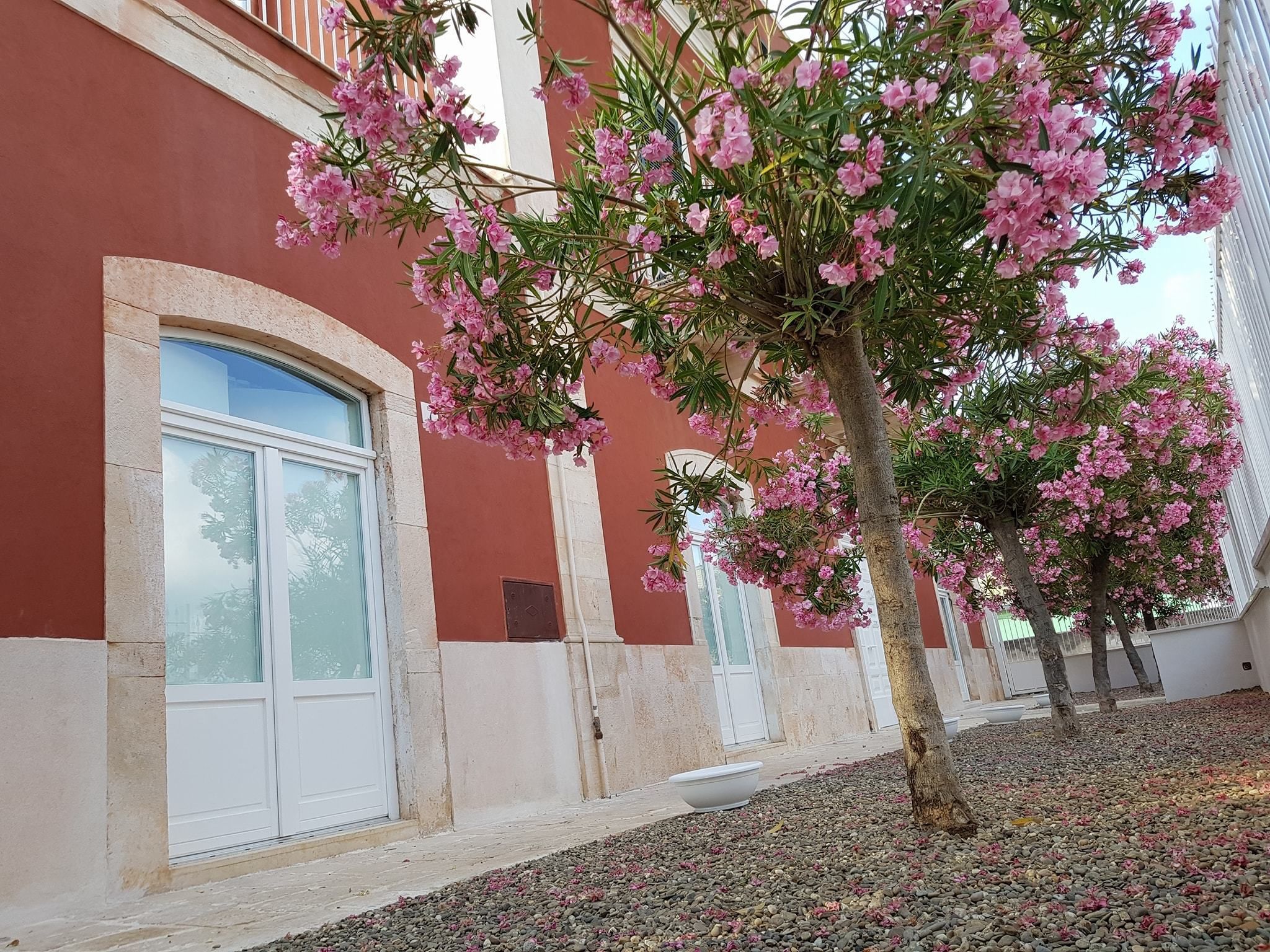 Un bâtiment à la façade rouge, aux encadrements de fenêtres blancs, et avec un arbre aux fleurs roses devant.