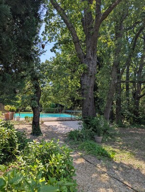 Una piscina rodeada de árboles y follaje, con una valla al fondo.