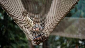 A hammock suspended between two poles.