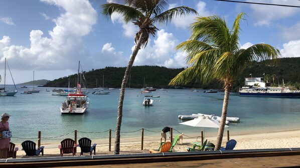 A beach with boats, palm trees, and a view of the water.