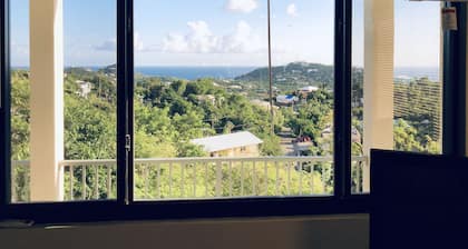 Bright Ocean View Studio - AC, Wi-Fi, generator 5 Mins to Cruz Bay