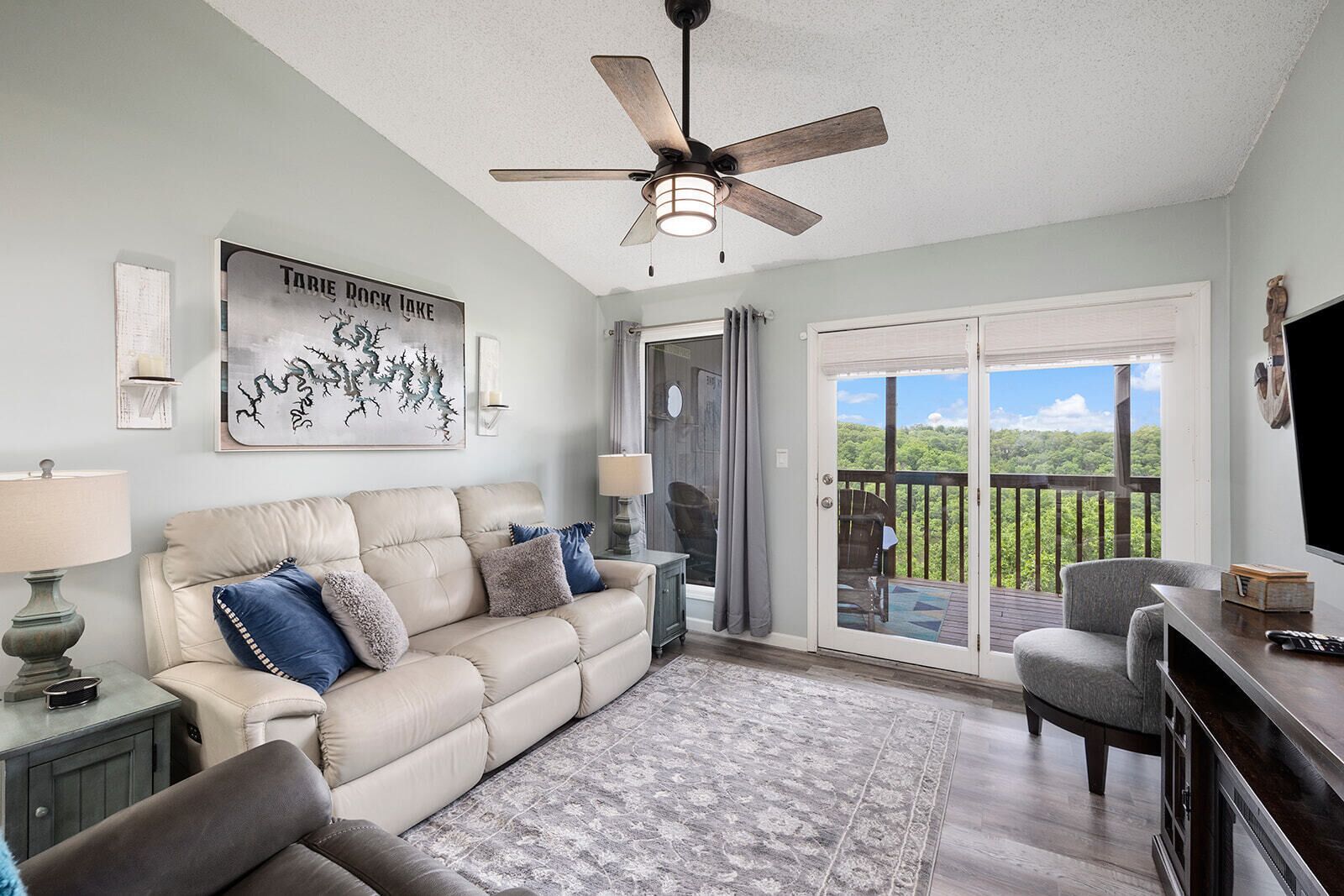 Télévision, cheminée, lecteur de DVD