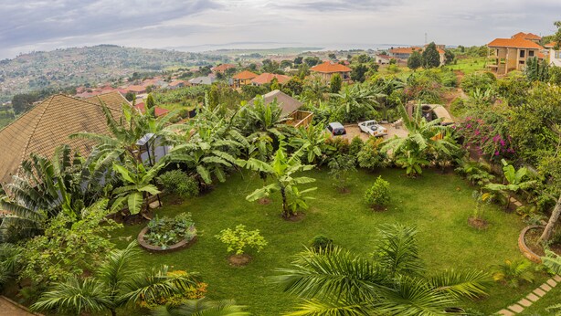 A lush garden with banana trees and a variety of tropical plants. - Dawilderness Holiday Homes (Kampala)