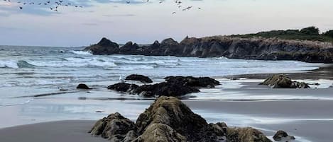 Plage à proximité