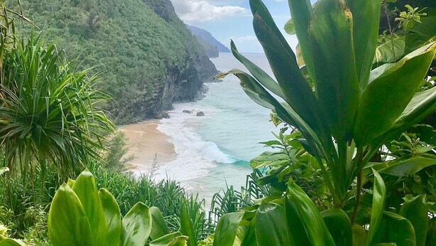 Un paisaje costero con playa, abundante vegetación y montañas al fondo.