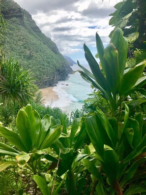 Eine Küstenlandschaft mit Strand, üppiger Vegetation und einem bergigen Hintergrund.