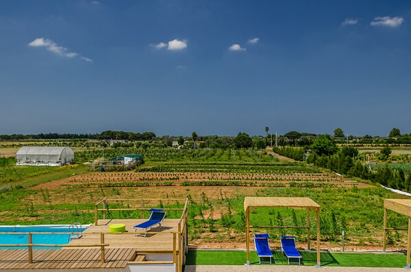 A pool area with blue lounge chairs and a wooden deck. - Tenuta Libò (Alezio)