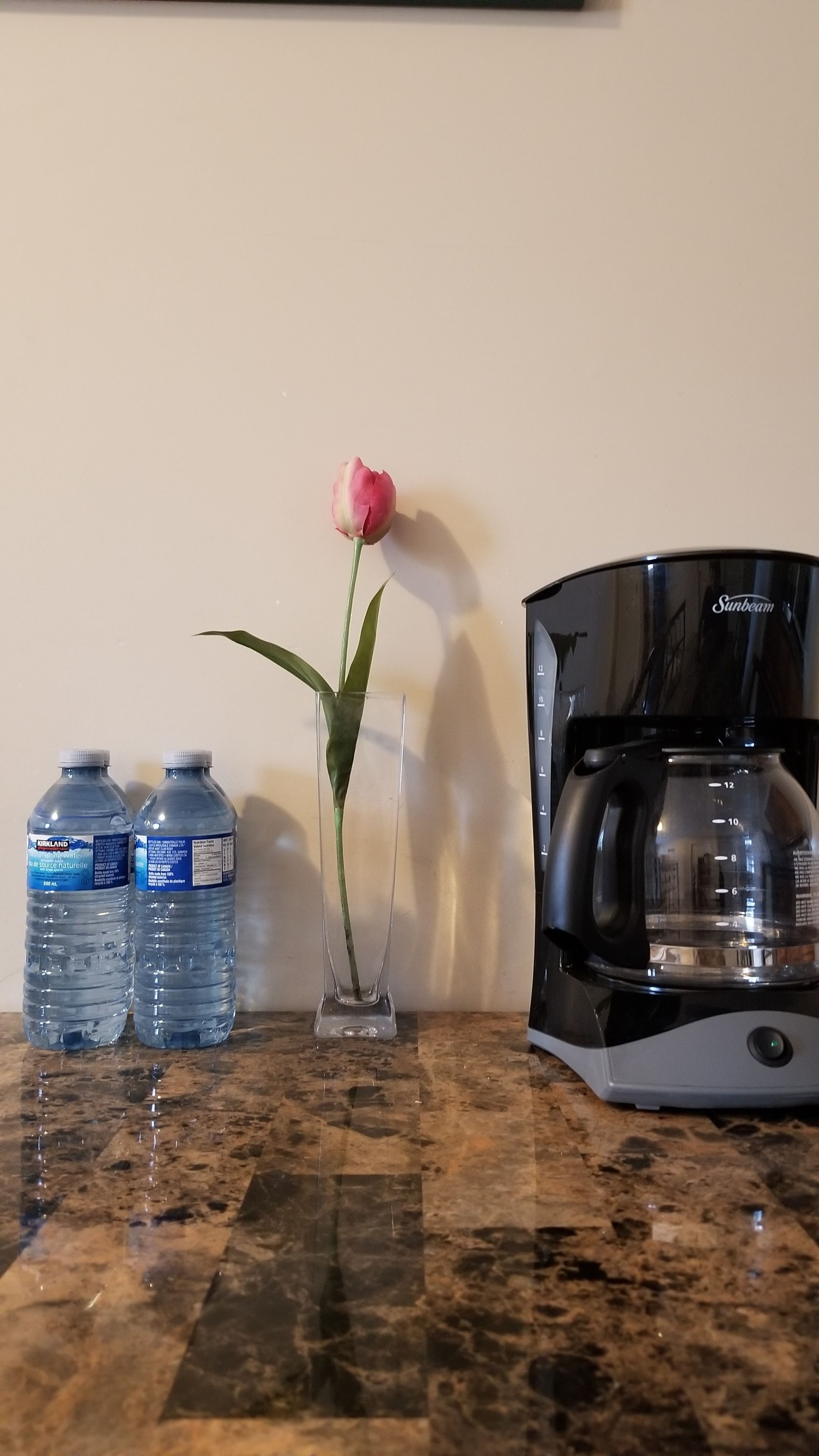 A kitchen counter with two water bottles, a vase with a single rose, and a coffee maker.