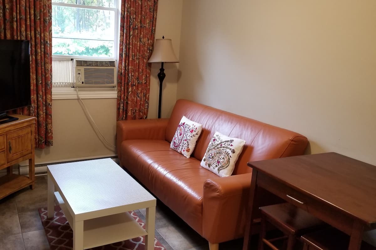 Business Apartment, 2 Bedrooms, Non Smoking