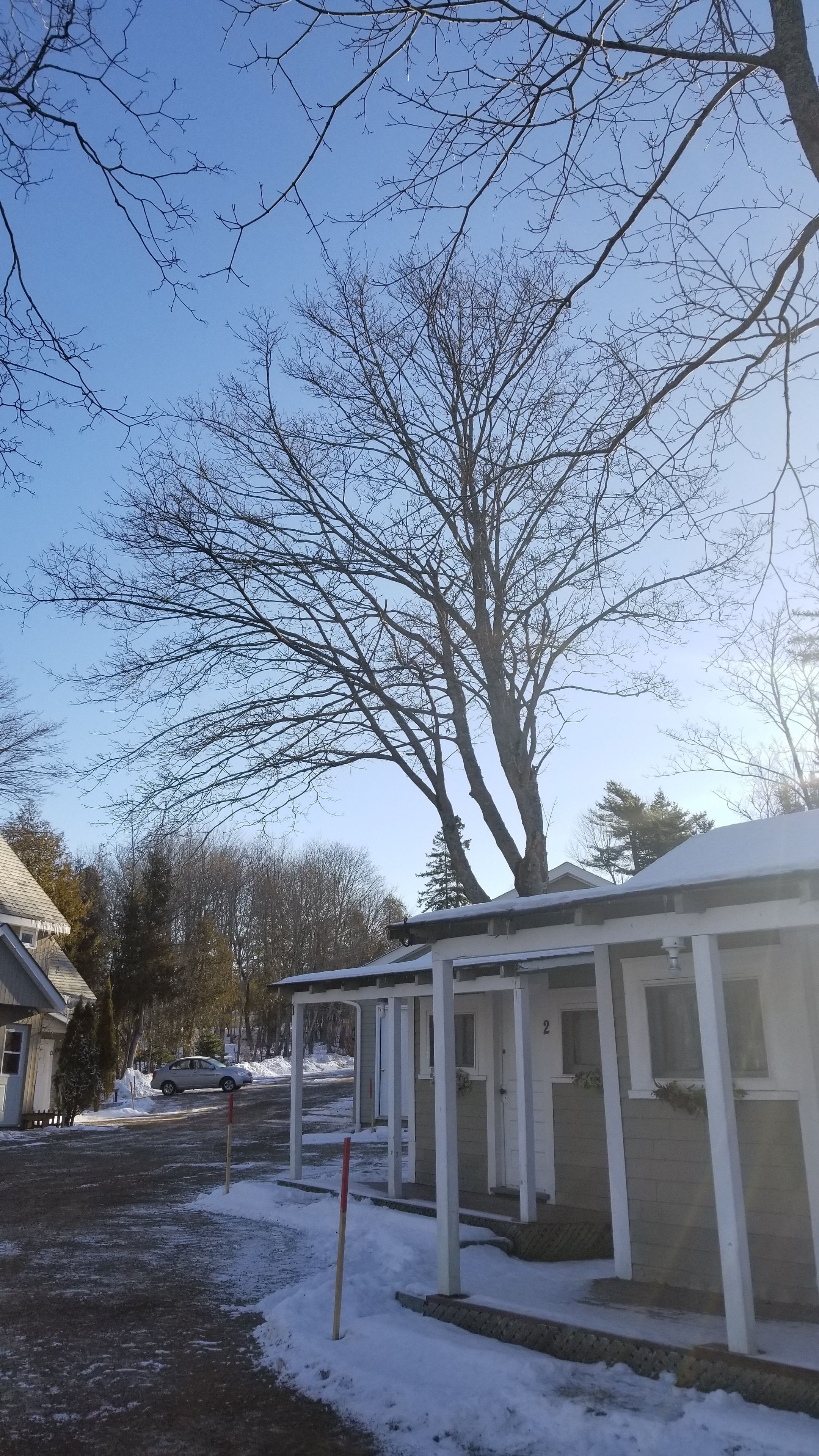 A building with a covered outdoor area, a car parked nearby, and a large tree in the background.