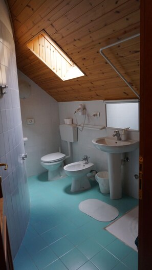 Habitación con 1 cama matrimonial o 2 individuales | Baño | Regadera, secadora de cabello, bidet, toallas