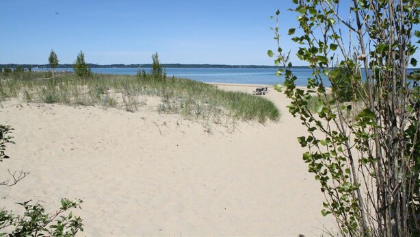A beach with sand, sparse vegetation, and a clear view of the water. - Walking distance to downtown Elk Rapids, Elk Lake and dining (Elk Rapids)