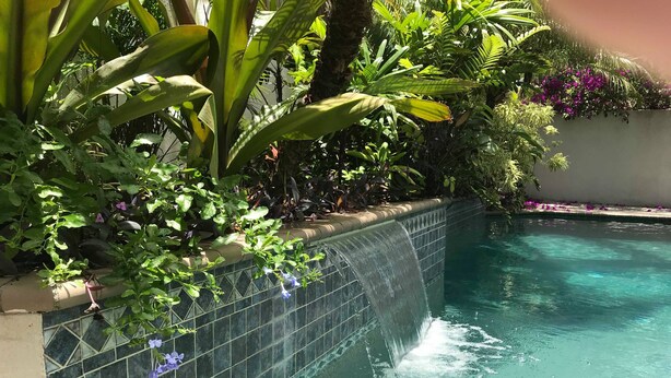 Une piscine agrémentée d’une cascade artificielle recouverte de carreaux, entourée d’une végétation luxuriante et de plantes en fleurs.
