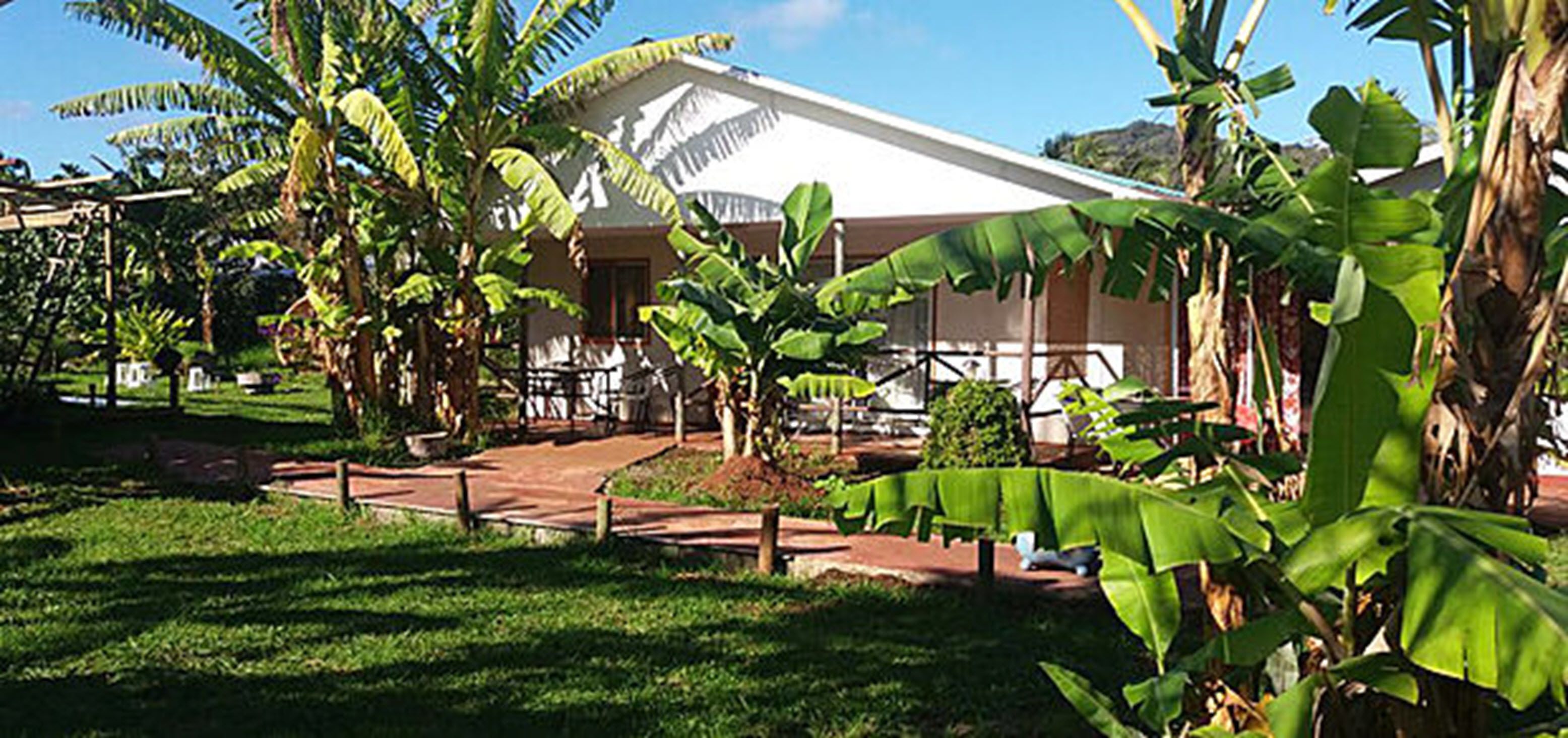 A building with a white roof and a covered patio area surrounded by lush greenery and banana trees.