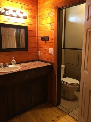 Une salle de bain en bois avec un lavabo, un miroir et des toilettes.