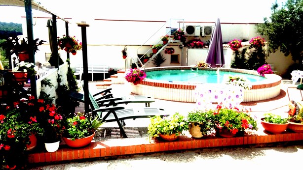 A swimming pool surrounded by potted plants and outdoor furniture. - B&B Iafrate Daniele (Priverno)