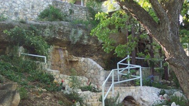 Un escalier en pierre mène à un bâtiment, avec un arbre en premier plan.