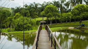 Eine Holzbrücke führt zu einem Pavillon über einem stillen See, umgeben von üppigem Grün.