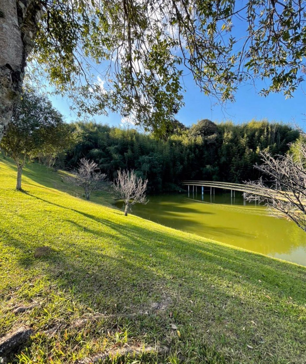 A well-maintained grassy area with a pond, surrounded by trees and a clear sky.