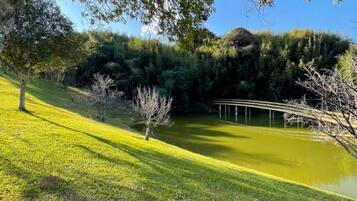 A well-maintained grassy area with a pond, surrounded by trees and a clear sky.