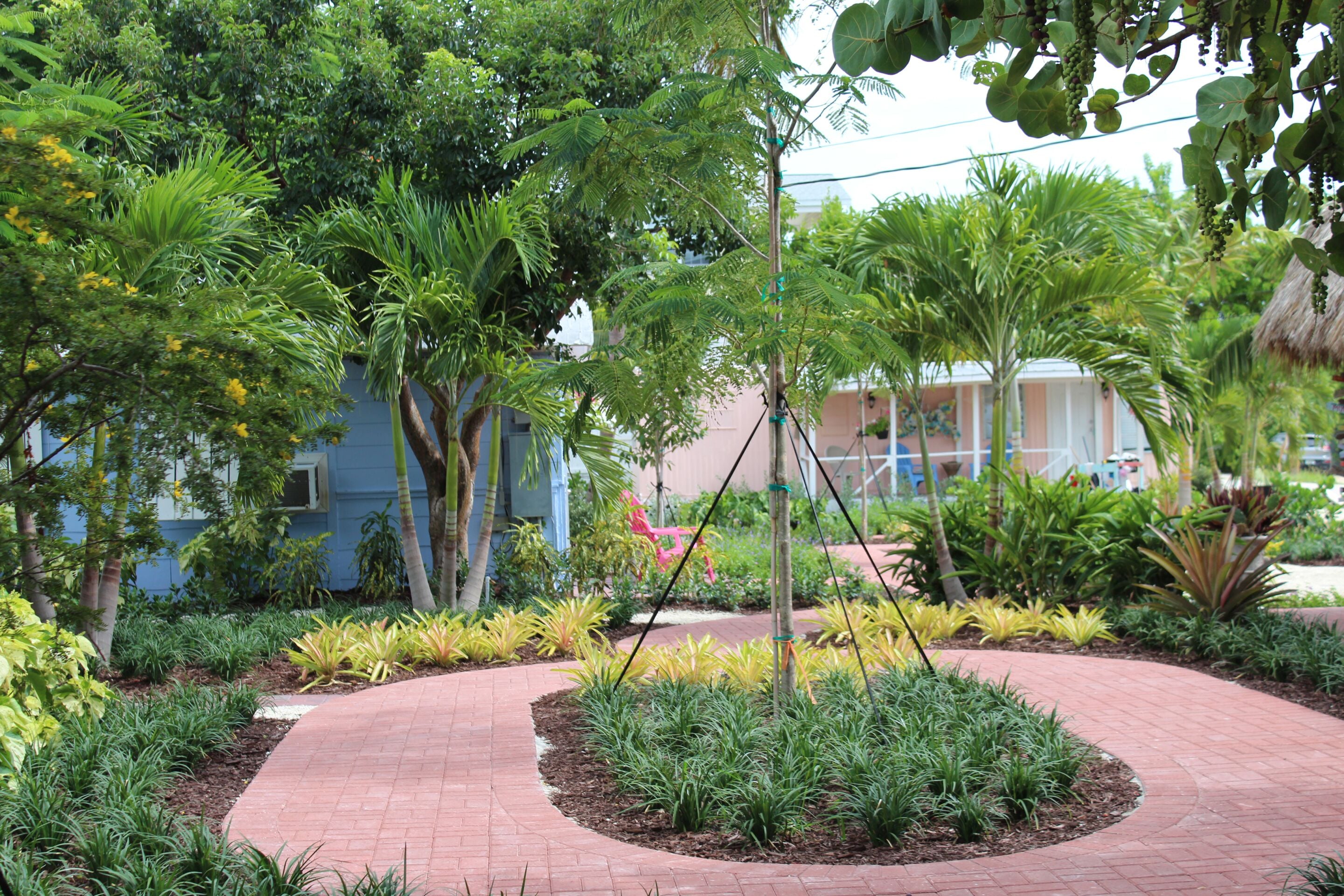 A landscaped garden with a curved brick pathway, various tropical plants, and a building with a blue exterior in the background.