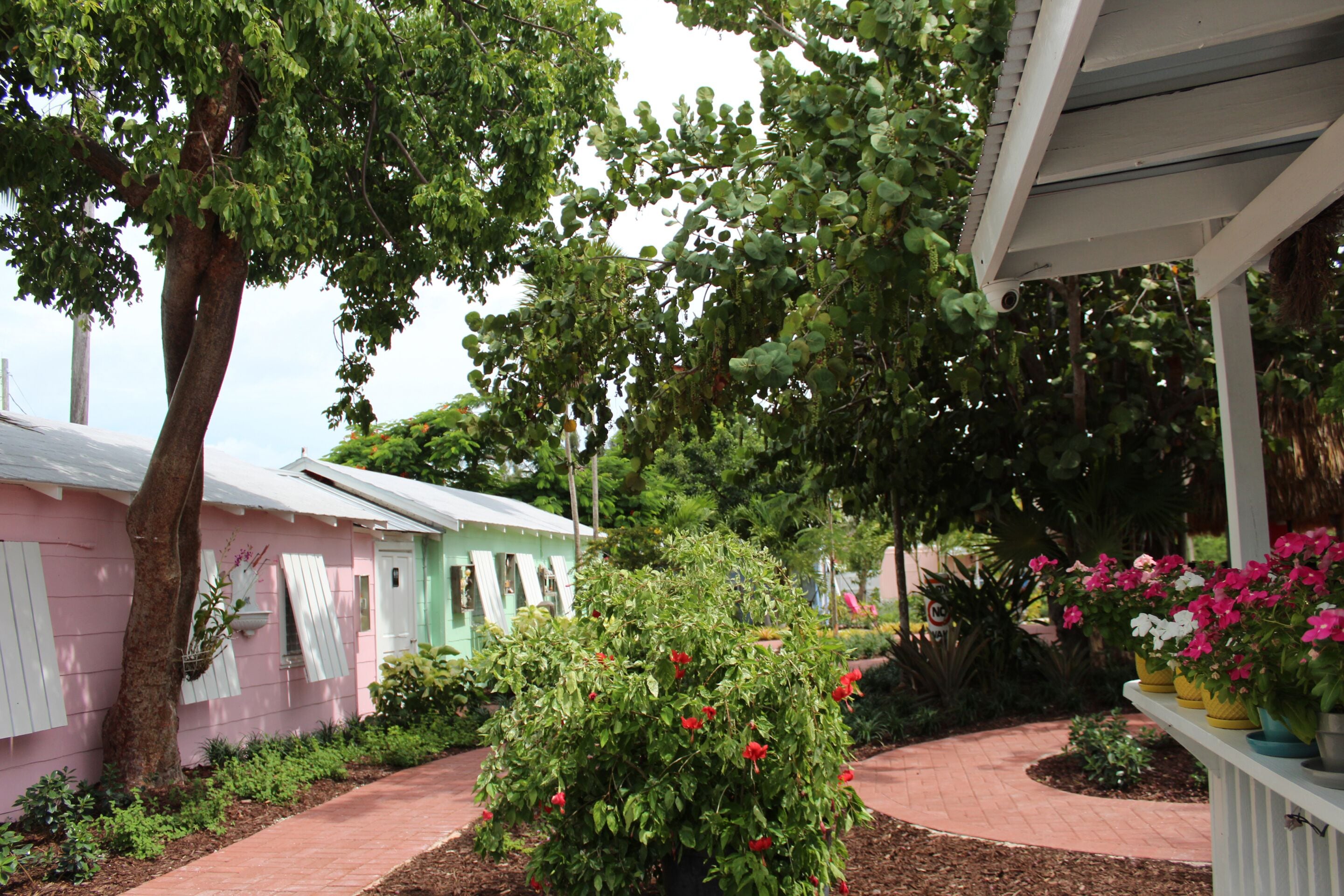 Un espace jardin agrémenté d’un sentier, d’un bâtiment rose aux volets blancs et de plantes en pot fleuries.