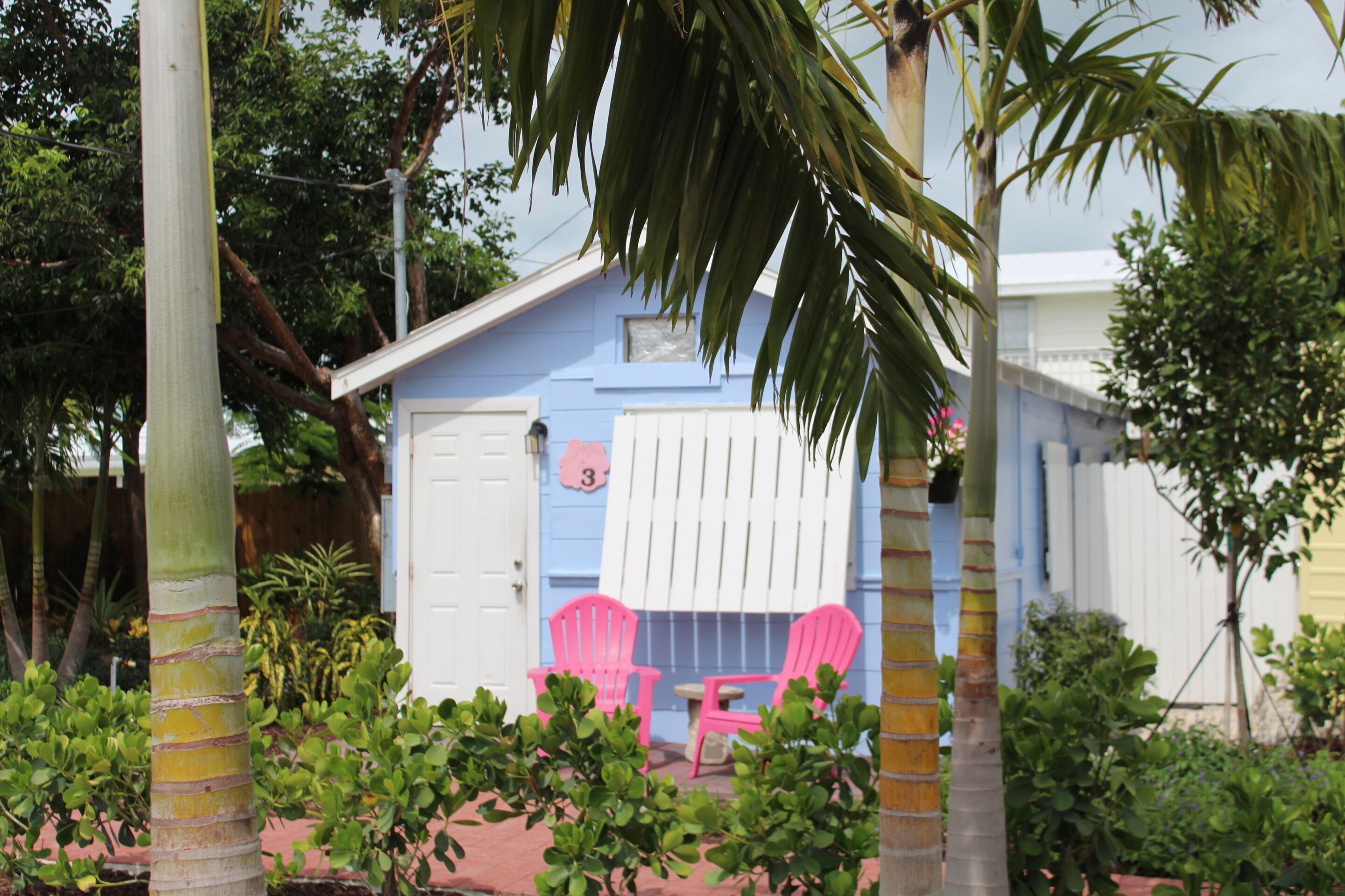 A small, single-story building with a white door and a window, surrounded by lush greenery and a palm tree.