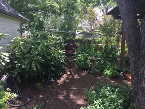 Utsikt fra overnattingsstedet