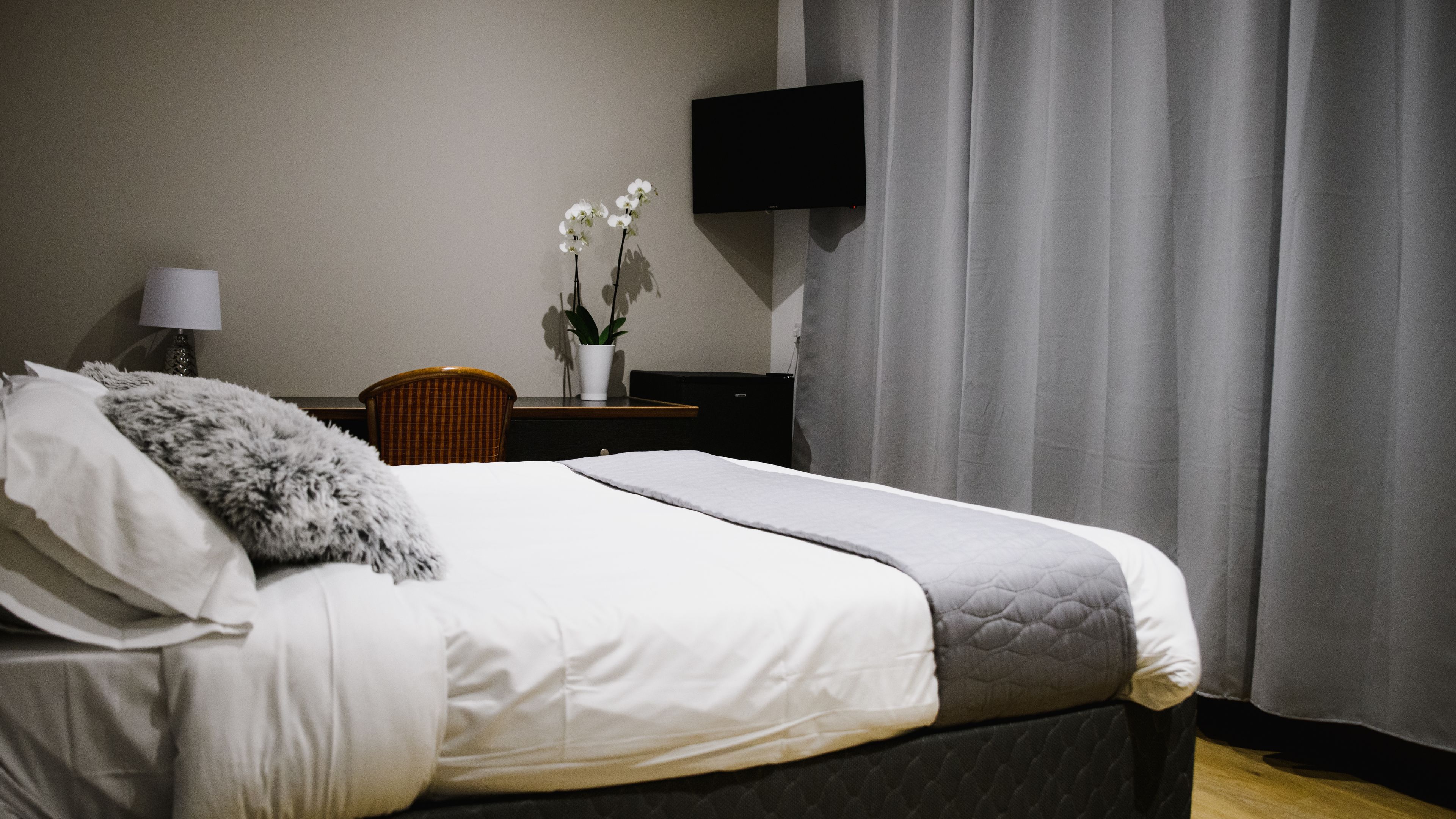 Una cama bien hecha con ropa de cama blanca y gris, una mesita de noche con una lámpara y una planta en maceta, y un televisor de pantalla plana montado en la pared.