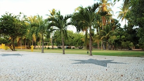 Un área pavimentada en forma de estrella, rodeada de palmeras y follaje.