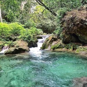A clear, flowing stream with rocks and lush greenery. - Hotel Villas del Mar (Pedernales)