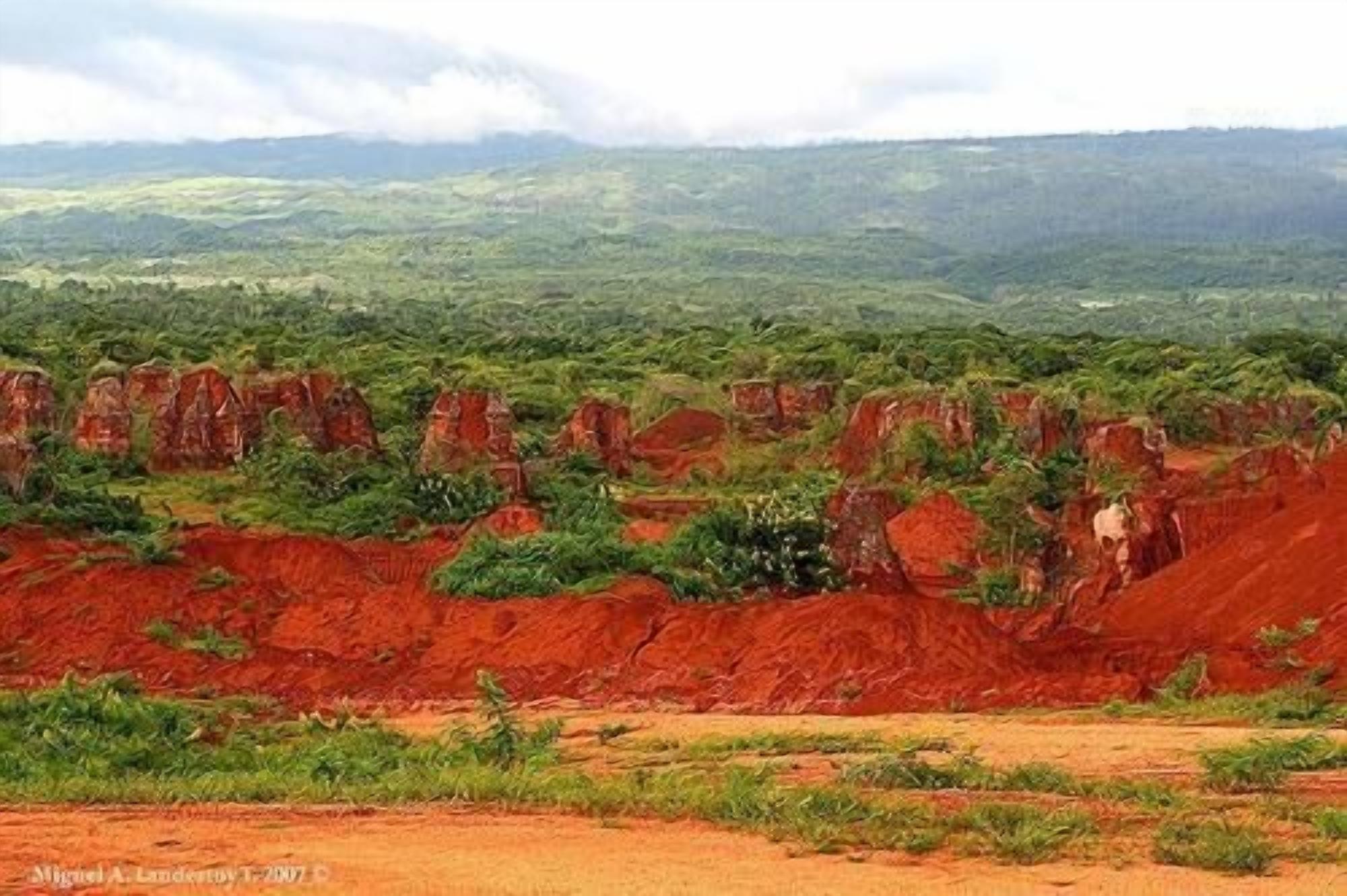 Un paysage caractérisé par des formations rocheuses rouges et une végétation verdoyante.