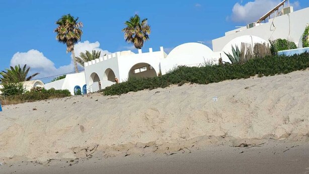 A beach with white buildings, palm trees, and a clear sky. - Maamoura Beach House (El Maâmoura)